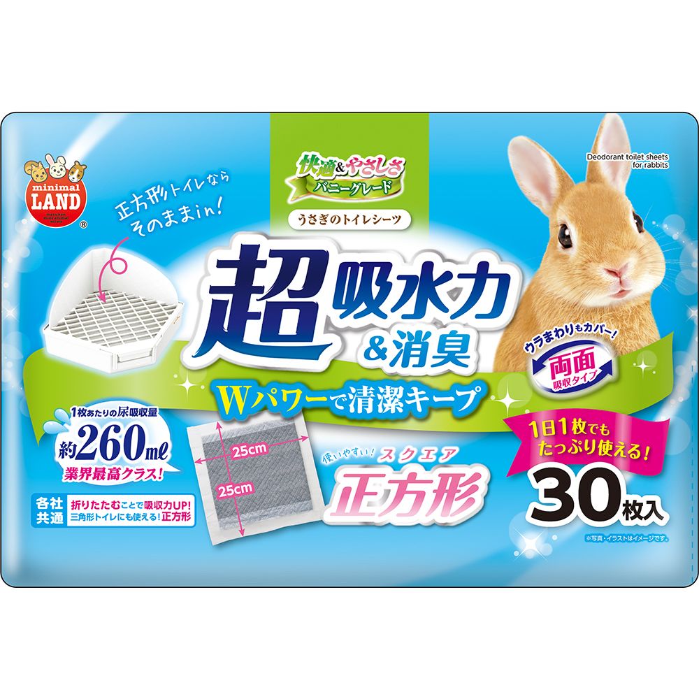 小動物 うさぎ用品 まとめ売り - 小動物用品