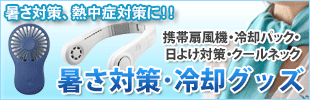 まとめ買い）クラウン PB保存袋 A4用 50枚入 A CR-HBA450 〔×3〕 – FUJIX