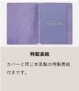 レイメイ藤井 ダヴィンチ ドルチェメンテES システム手帳 A5サイズ