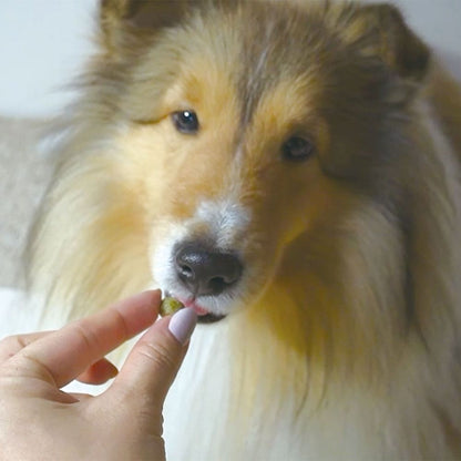 （まとめ買い）ペティオ プラクト 総合栄養食 無添加 ササミビッツ 野菜ミックス 80g 犬用おやつ 〔×15〕