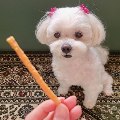 ペティオ プラクト 歯みがきデンタルササミ クランチスティック 野菜入り 60g 犬用おやつ