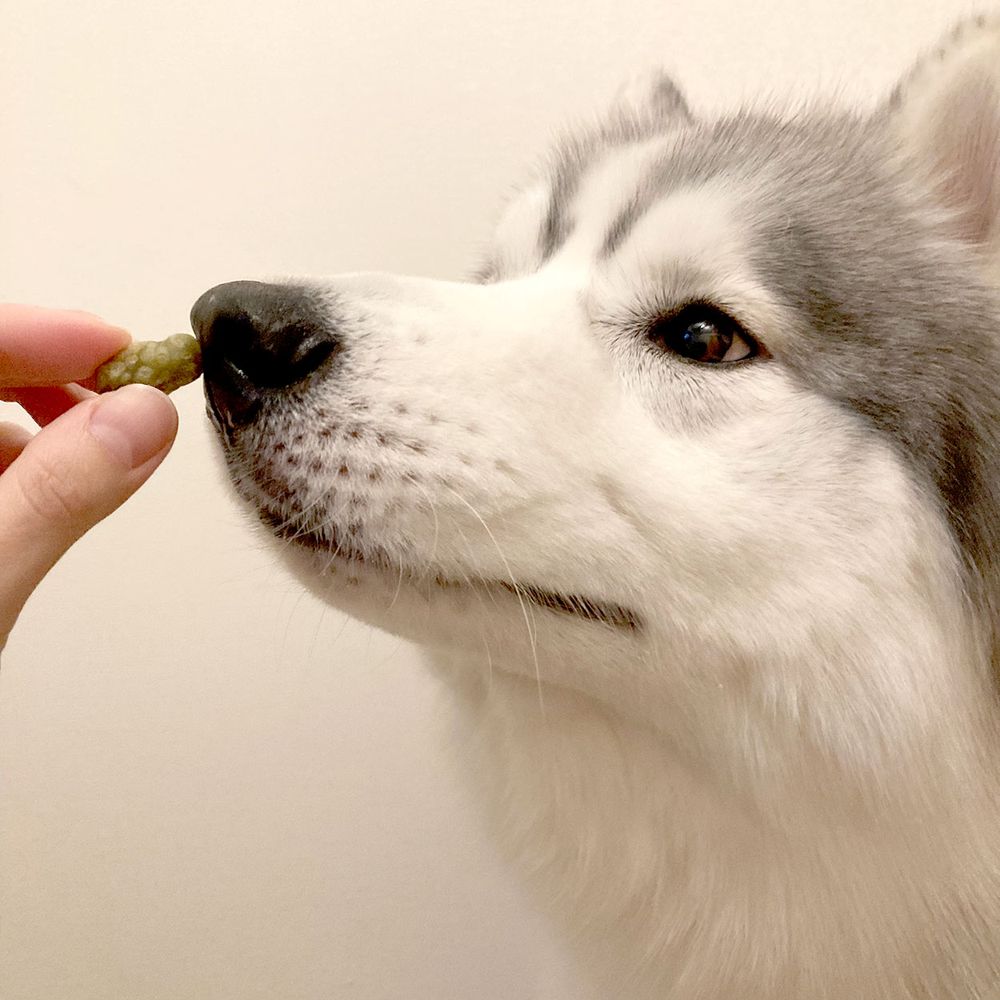 （まとめ買い）ペティオ 鶏まろ 無添加 生肉グランビッツ 野菜ミックス 120g 犬用おやつ 〔×15〕