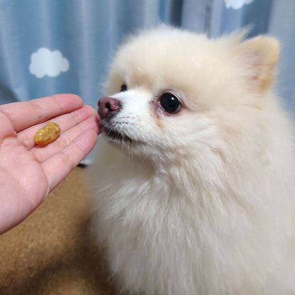 ペティオ 鶏まろ 無添加 生肉グランビッツ おいもミックス 120g 犬用おやつ