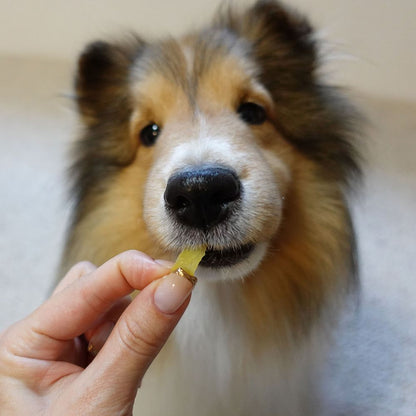 （まとめ買い）ペティオ 素材そのまま さつまいも 極薄スライスタイプ 230g 犬用おやつ 〔×7〕