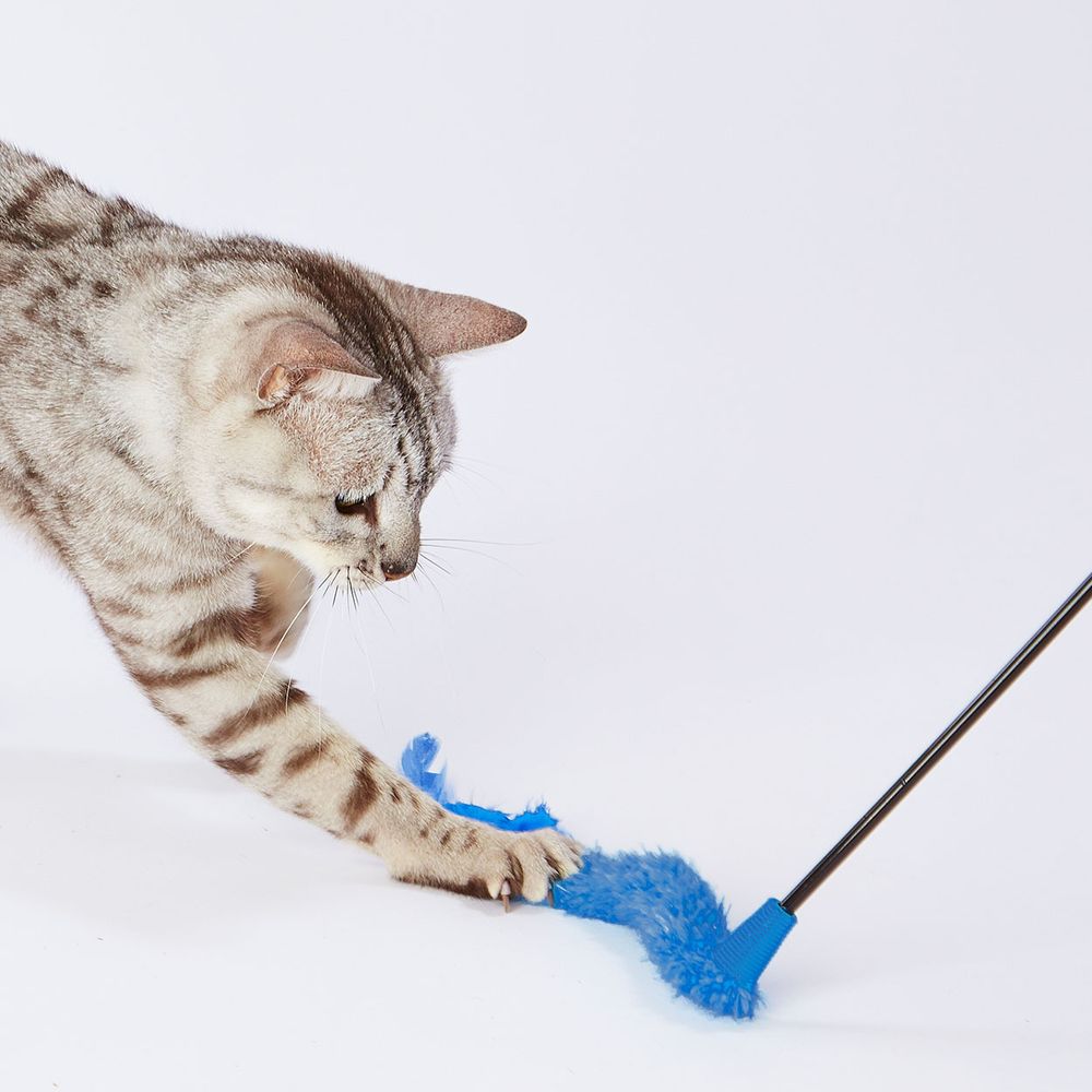 ペティオ 猫用おもちゃ 大好きブルーの猫じゃらし テール＆フェザー 猫用玩具