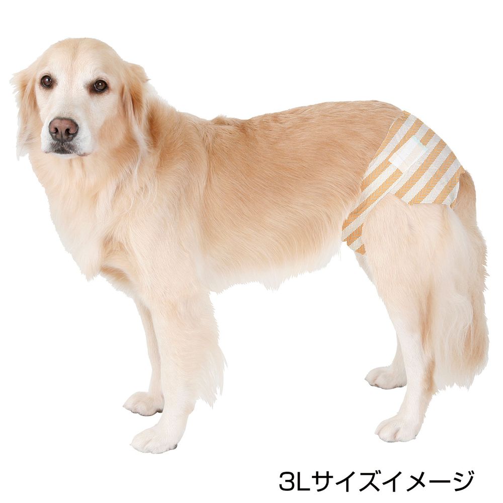 （まとめ買い）ペティオ 犬用オムツ zuttone 介護から生まれた紙おむつ 2L 12枚 ペット用品 〔×3〕