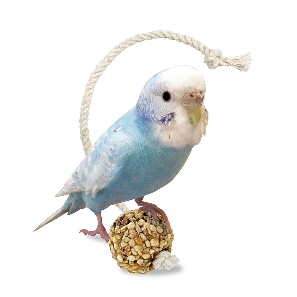 （まとめ買い）マルカン インコのシリアルボール S 6個 鳥用フード 〔×16〕