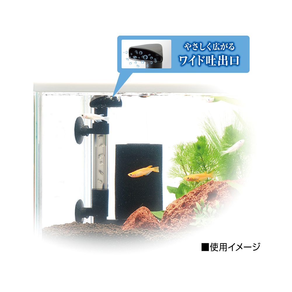 GEX（ジェックス） メダカ元気 メダカを育てるフィルターセット 観賞魚用品