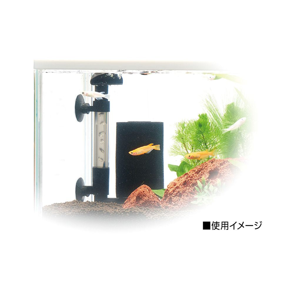 GEX（ジェックス） メダカ元気 メダカを育てるフィルターセット 観賞魚用品