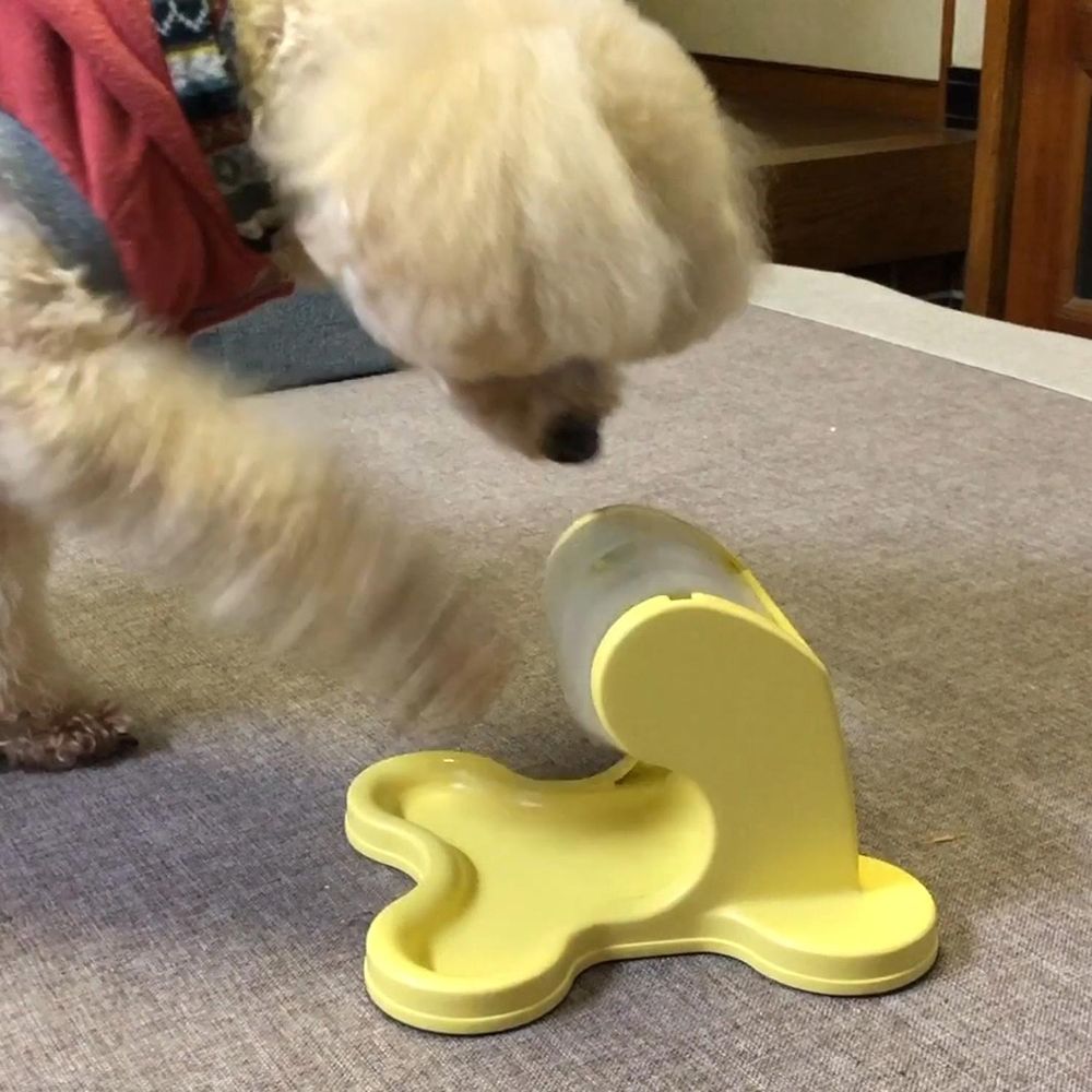 ドギーマン わんこのでるでる自飯器 犬用玩具