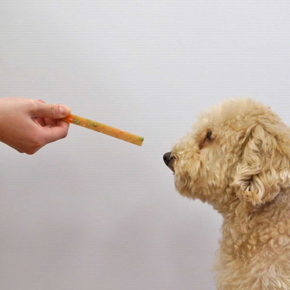 （まとめ買い）ドギーマン 低脂肪紗野菜入り 155g 犬用おやつ 〔×9〕