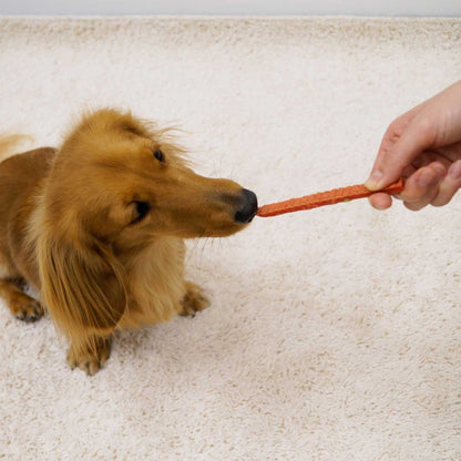 ドギーマン ターキー紗野菜入り 155g 犬用おやつ