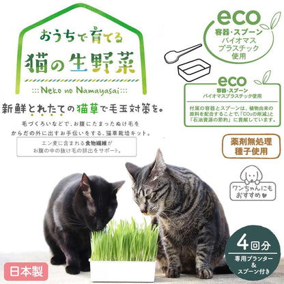 キャティーマン おうちで育てる 猫の生野菜 4回分 ペット用品