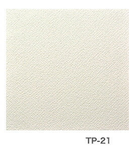 アサヒペン 厚手タイプ天井用パネルカベ紙 壁紙 TP-21 30×30cm 18枚入り