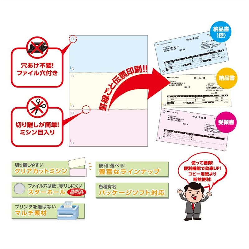 ヒサゴ FSC（R）認証 マルチプリンタ帳票 A4 カラー 3面 6穴 1200枚入