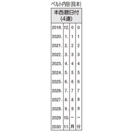 まとめ買い）サンビー テクノタッチ回転印 本西暦日付 ゴシック体 3号