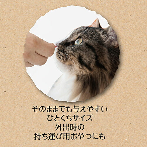 （まとめ買い）ペティオ 素材そのまま フリーズドライ For Cat サーモン 10g 猫用おやつ 〔×15〕