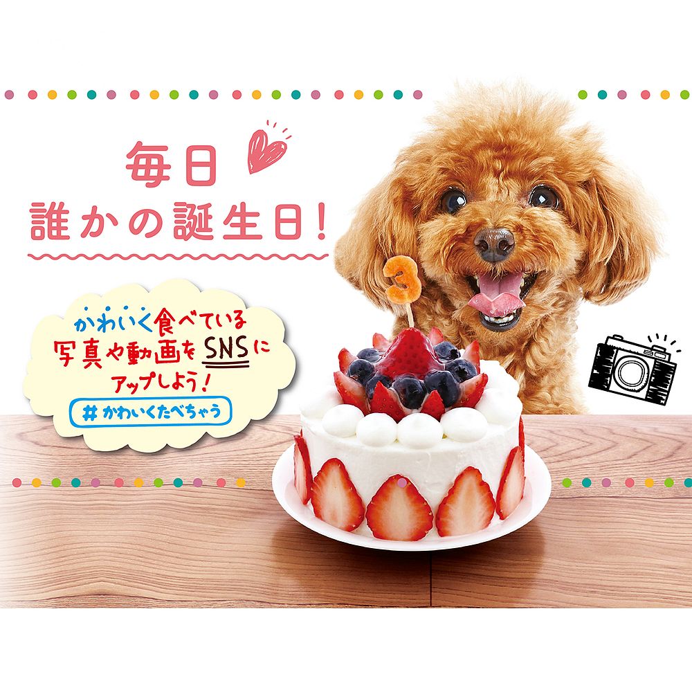 ペティオ かわいくたべちゃう! ナンバースティック 11本入 犬用おやつ