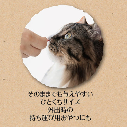 （まとめ買い）ペティオ 素材そのまま フリーズドライ For Cat フィッシュMIX 9g 猫用おやつ 〔×15〕