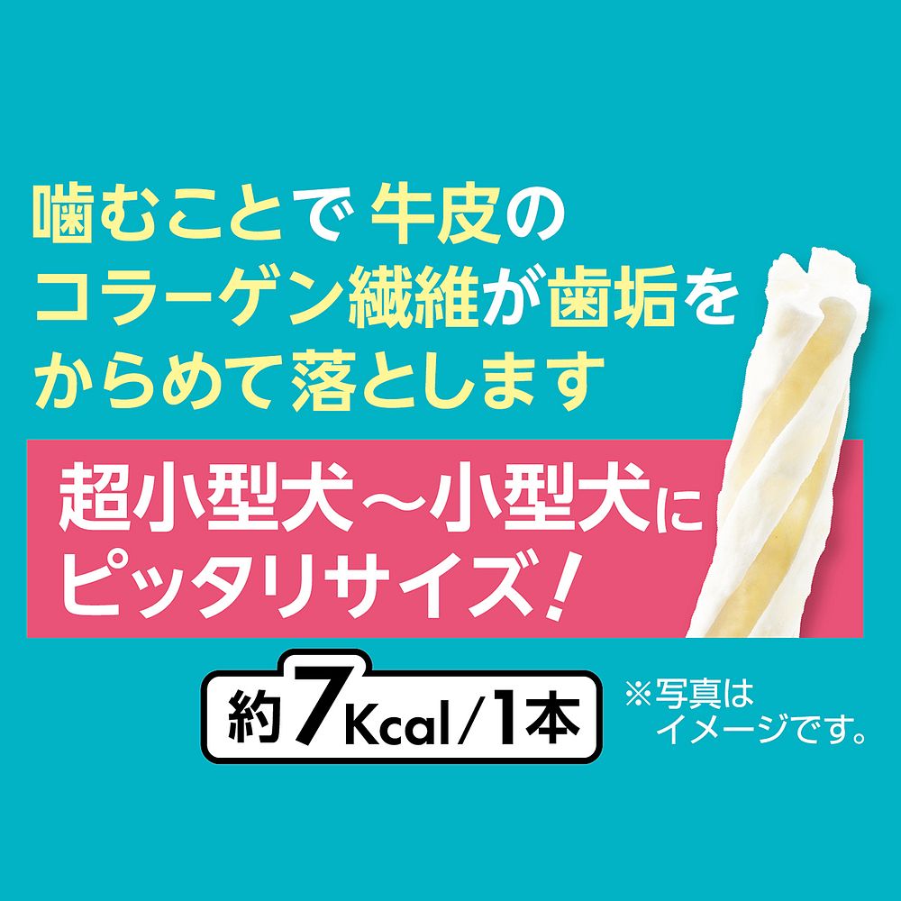 （まとめ買い）ペティオ プラクト 歯みがきデンタルガム 超小型～小型犬 ハード 70g 犬用おやつ 〔×8〕