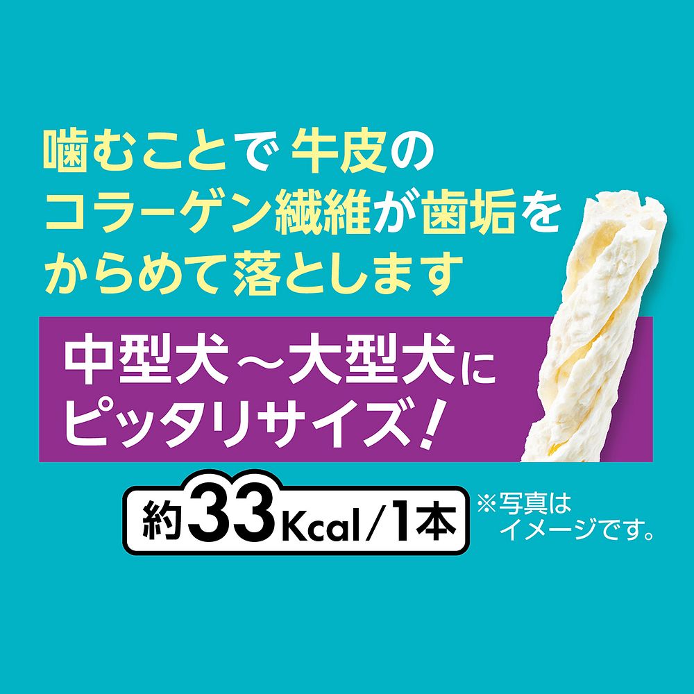 （まとめ買い）ペティオ プラクト 歯みがきデンタルガム 中型～大型犬 ハード 12本入 犬用おやつ 〔×8〕