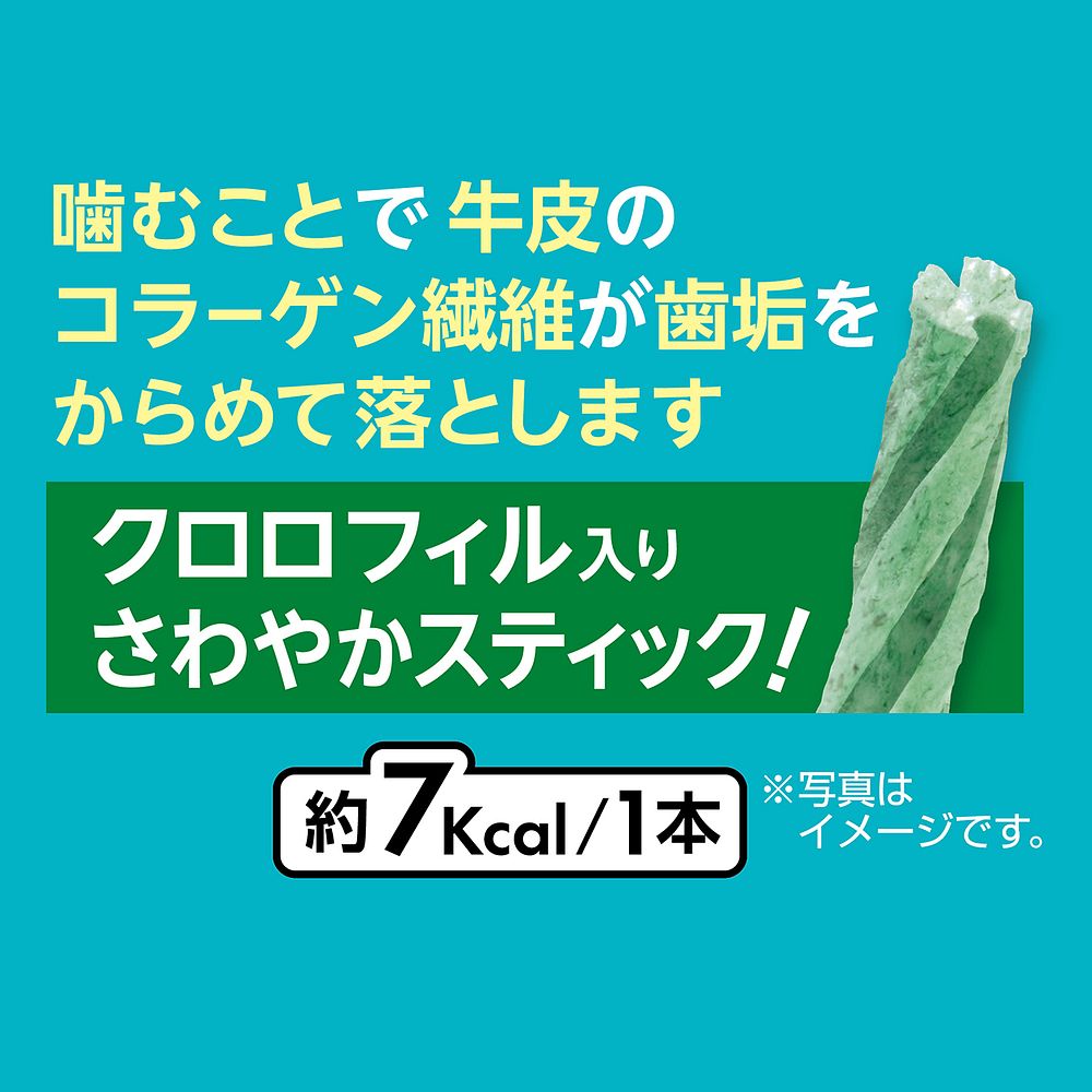 ペティオ プラクト 歯みがきデンタルガム超小型～小型犬クロロフィル入りハード 70g 犬用おやつ