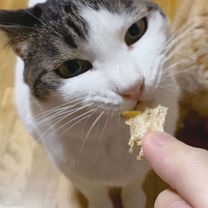 （まとめ買い）ペティオ ねこちゃんの素材そのまま 無添加極上うす焼き 減塩ちりめんと貝柱 3g 猫用おやつ 〔×15〕