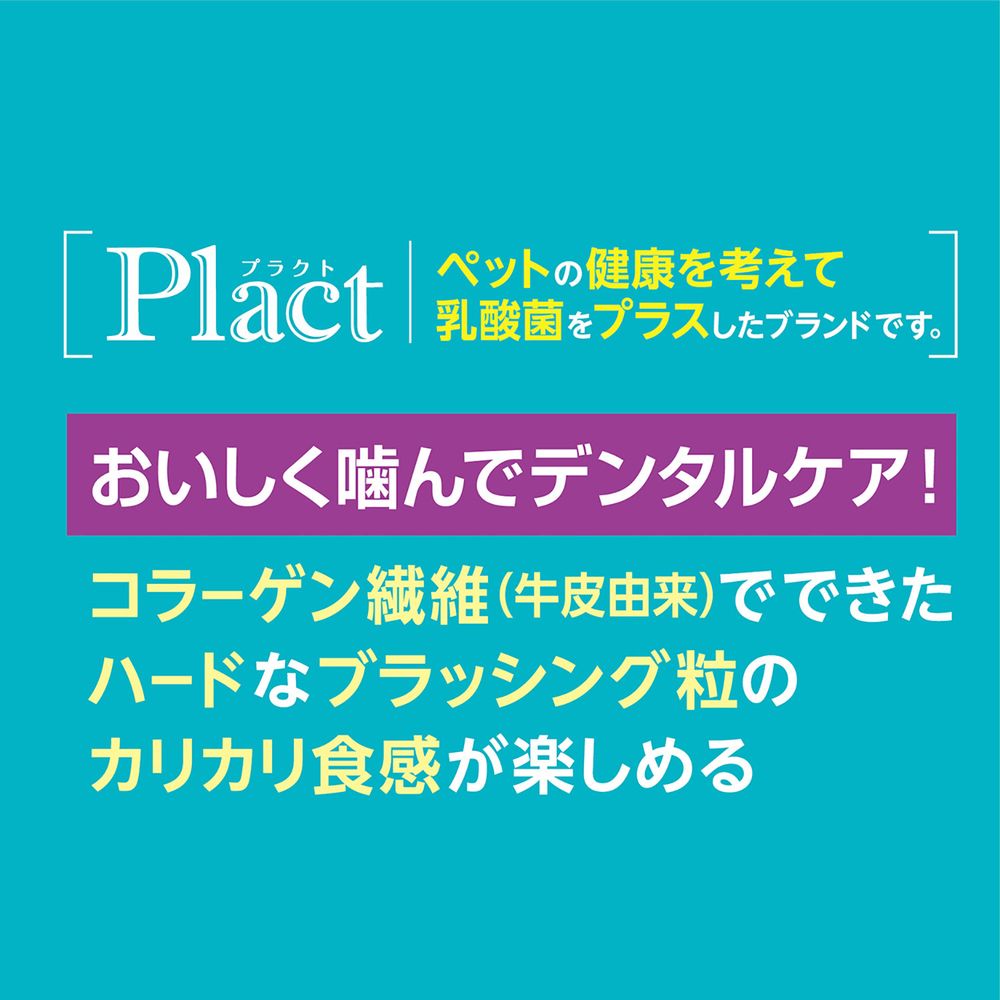 ペティオ プラクト ねこちゃんの 歯みがき デンタルクランチ 小粒タイプ まぐろ味 17g 猫用おやつ