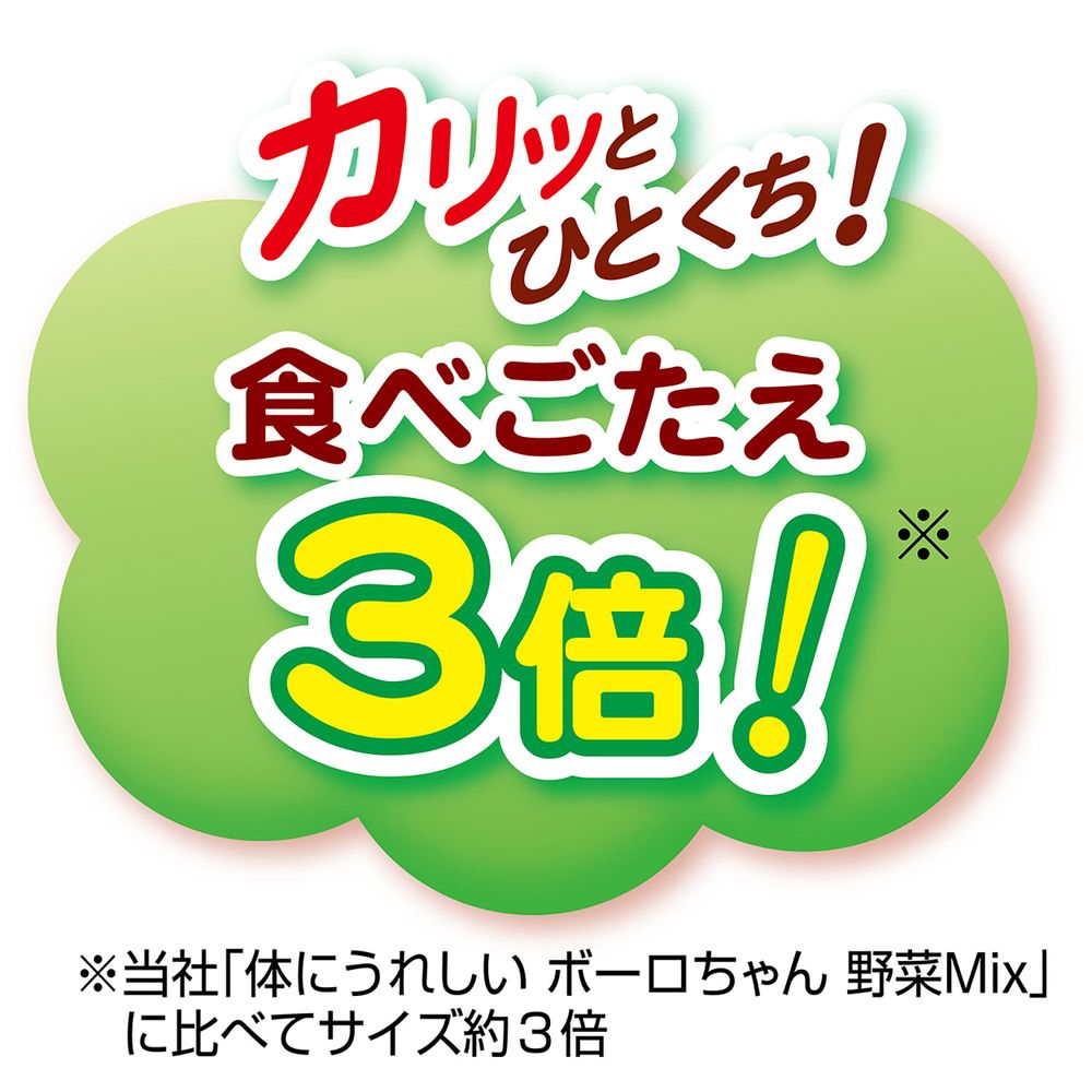 ペティオ 体にうれしい ボーロちゃん 大粒 100g 犬用おやつ