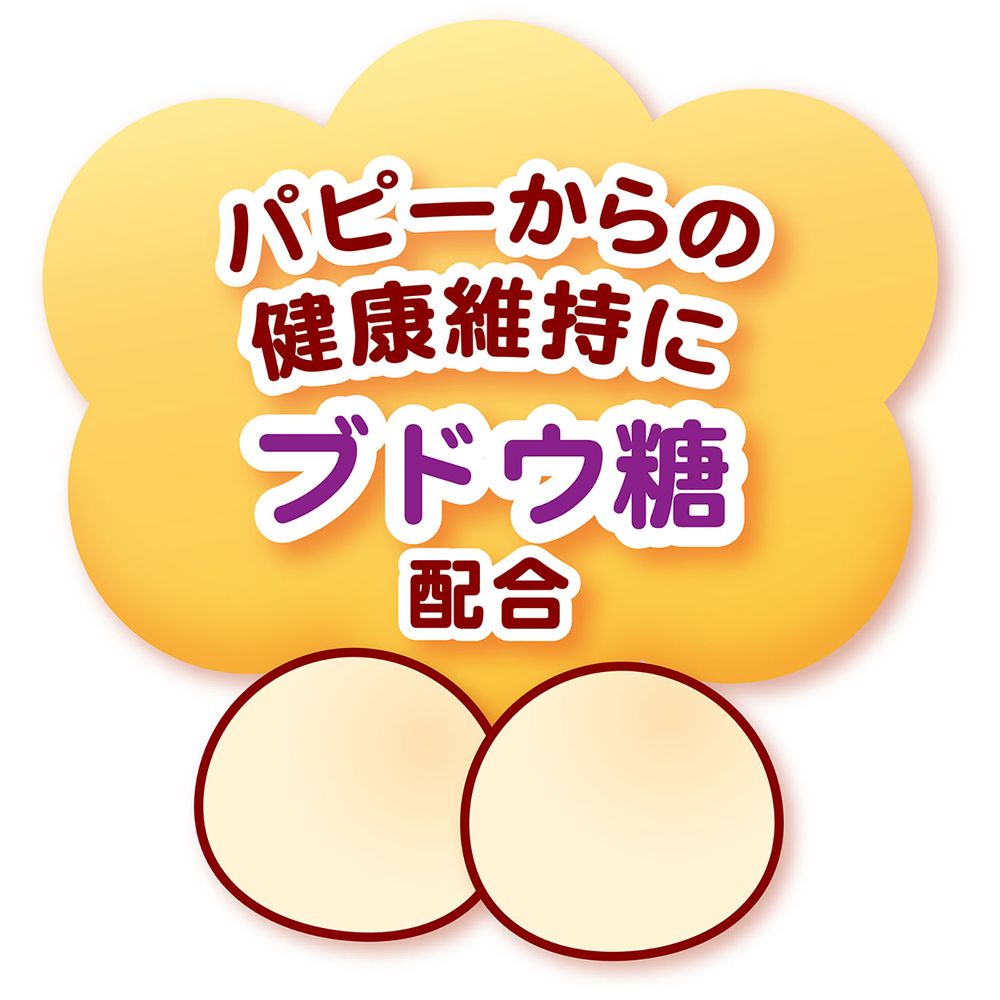 （まとめ買い）ペティオ 体にうれしい ボーロちゃん 大粒 100g 犬用おやつ 〔×10〕