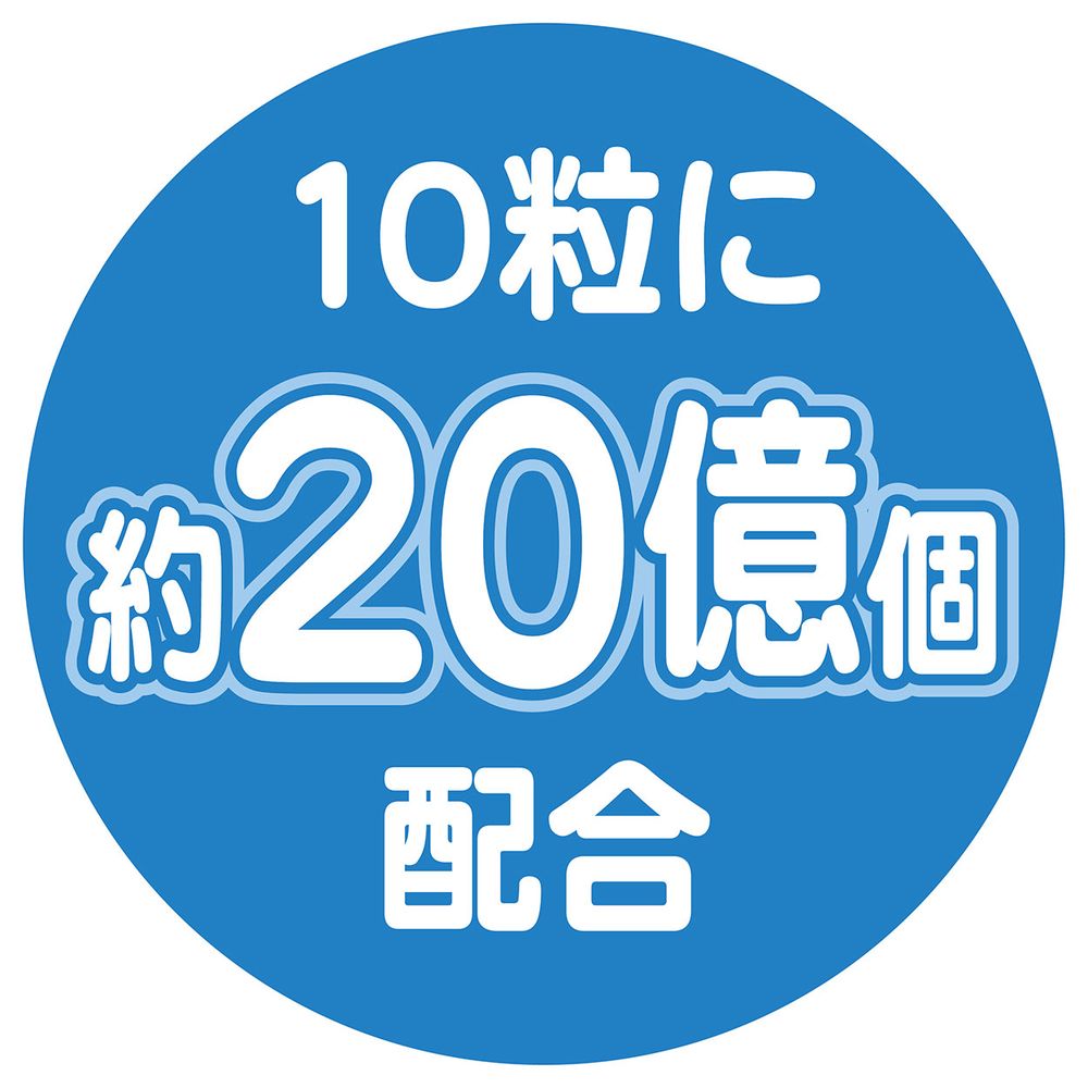 アドメイト 乳酸菌入りたまごボーロ 50g 犬用おやつ