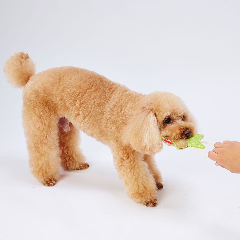 ペティオ へちまレザー デンタルTOY スター 犬用