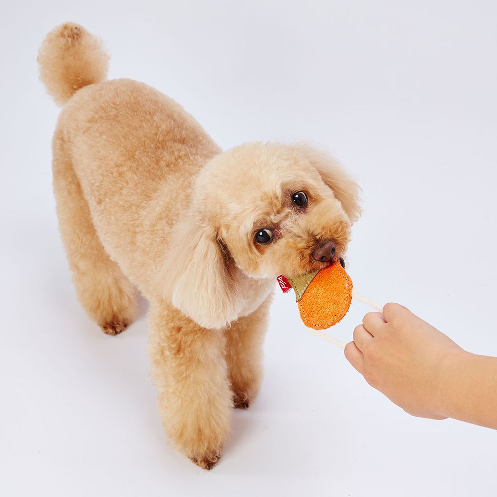 ペティオ へちまレザー デンタルTOY オーバル 犬用