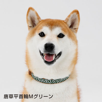 ペティオ 犬雅 唐草平首輪 S グリーン 犬用