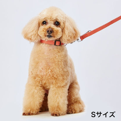 アドメイト ソフトスキップリードS レッド 犬用