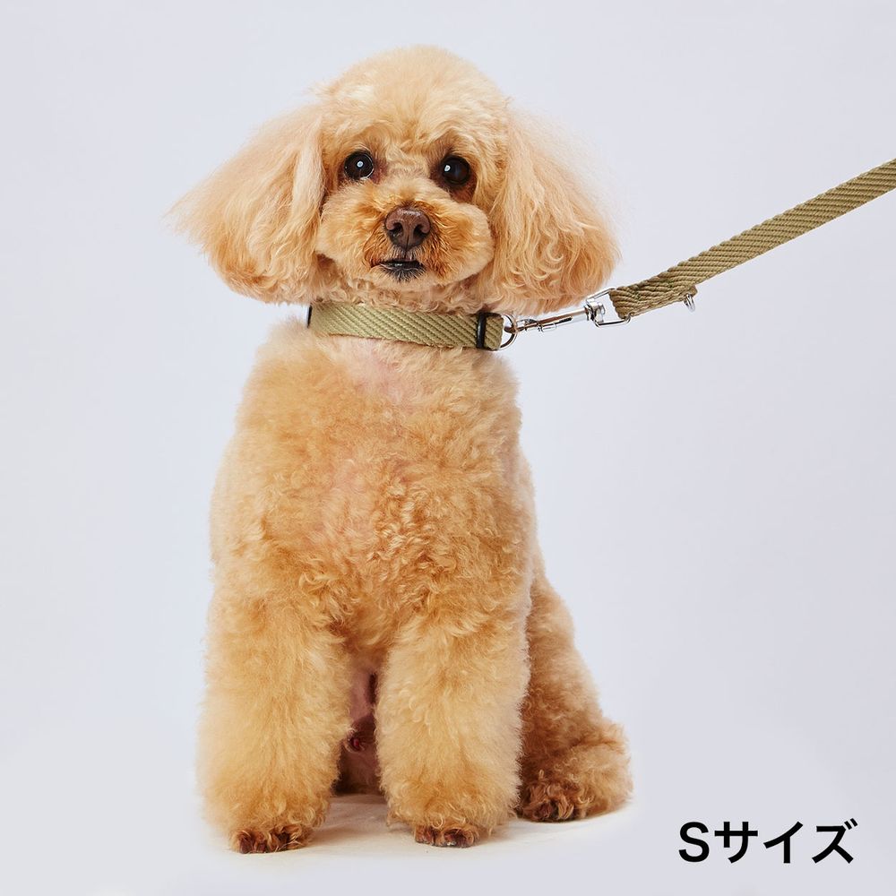 アドメイト ソフトスキップリードS グリーン 犬用