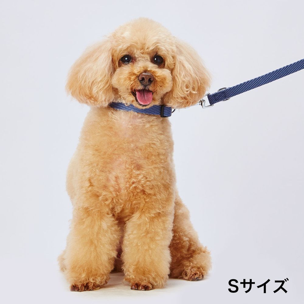 アドメイト ソフトスキップリードM ブルー 犬用