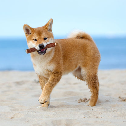 マルカン 歯みが木 M 犬用