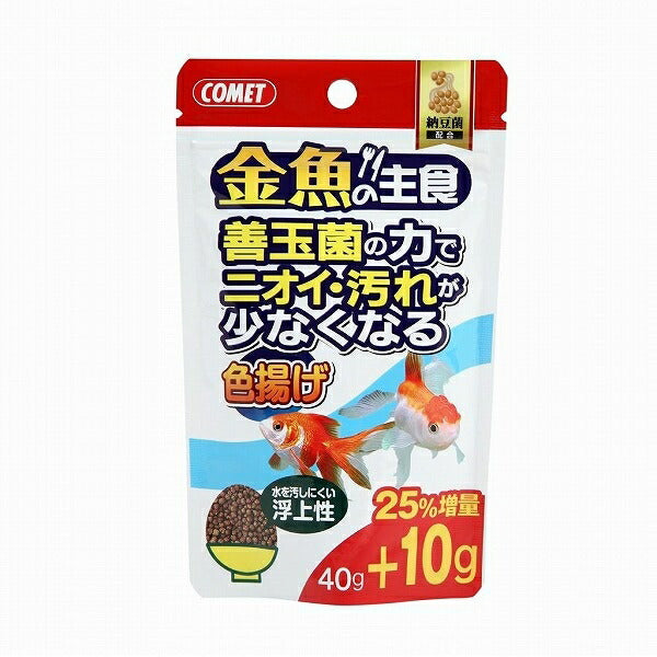 （まとめ買い）イトスイ 金魚の主食納豆菌色揚げ４０ｇ 〔×10〕