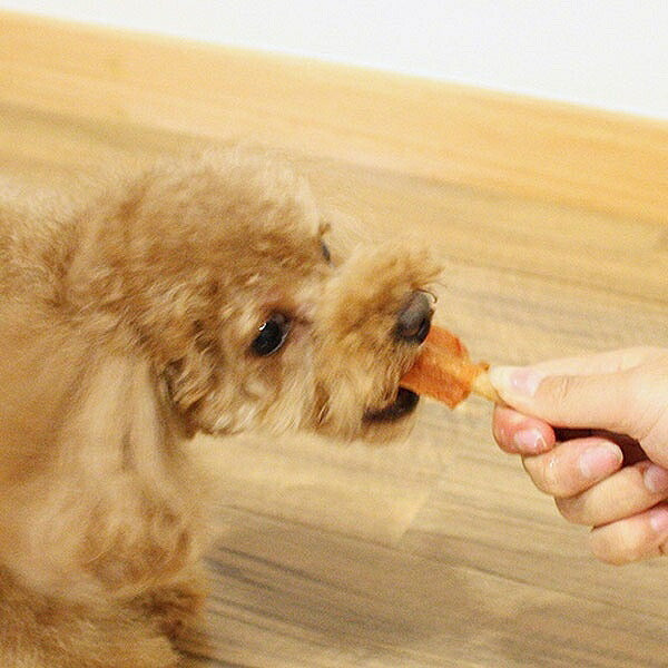 ドギーマン こだわり ササミドック 9本 犬用おやつ