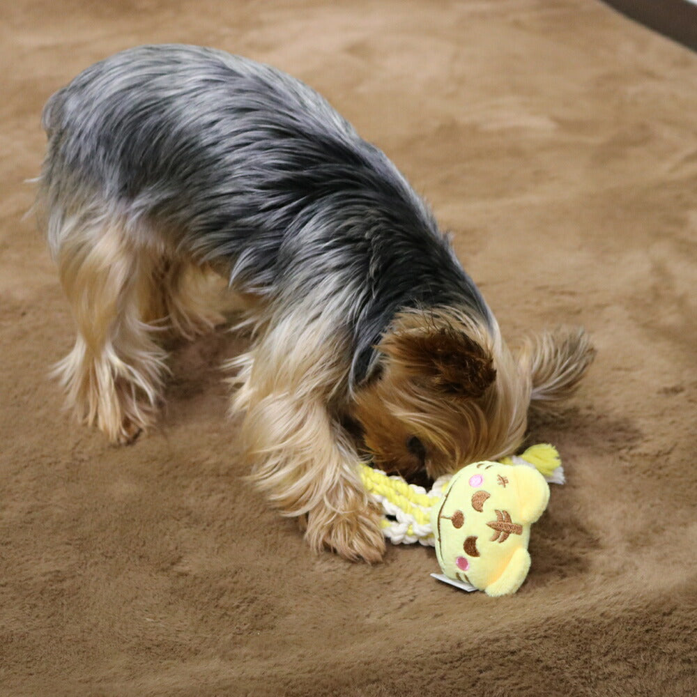 ドギーマン 激遊びハミガキコットン とらっち S 犬用おもちゃ