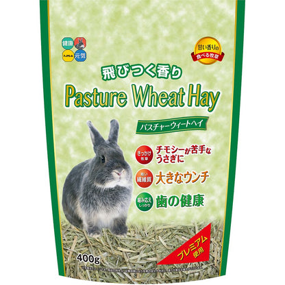 ハイペット パスチャーウィートヘイ 400g ウサギ用フード