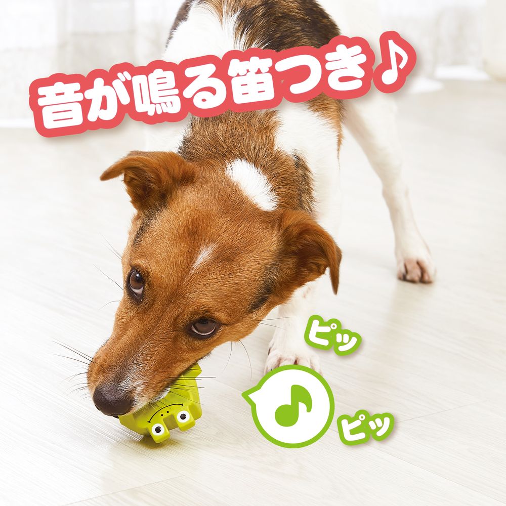 ボンビアルコン ポッピンキューブズ ウサギ 犬用玩具