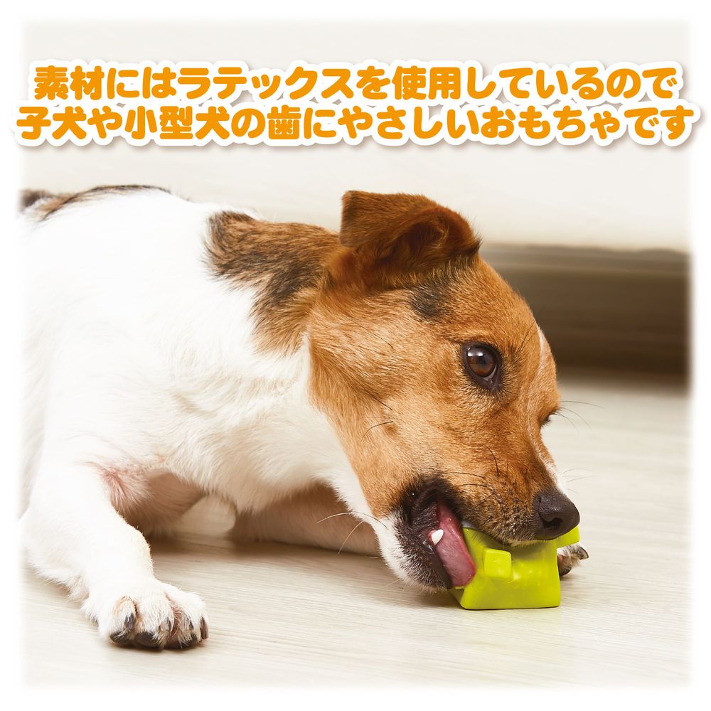 ボンビアルコン ポッピンキューブズ カエル 犬用玩具