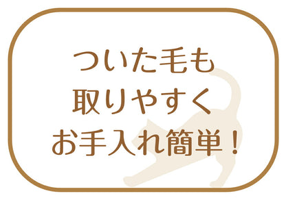 ペットプロジャパン 和歌山海南 猫が喜ぶマッサージ&毛取りブラシ ネジリ ペット用品