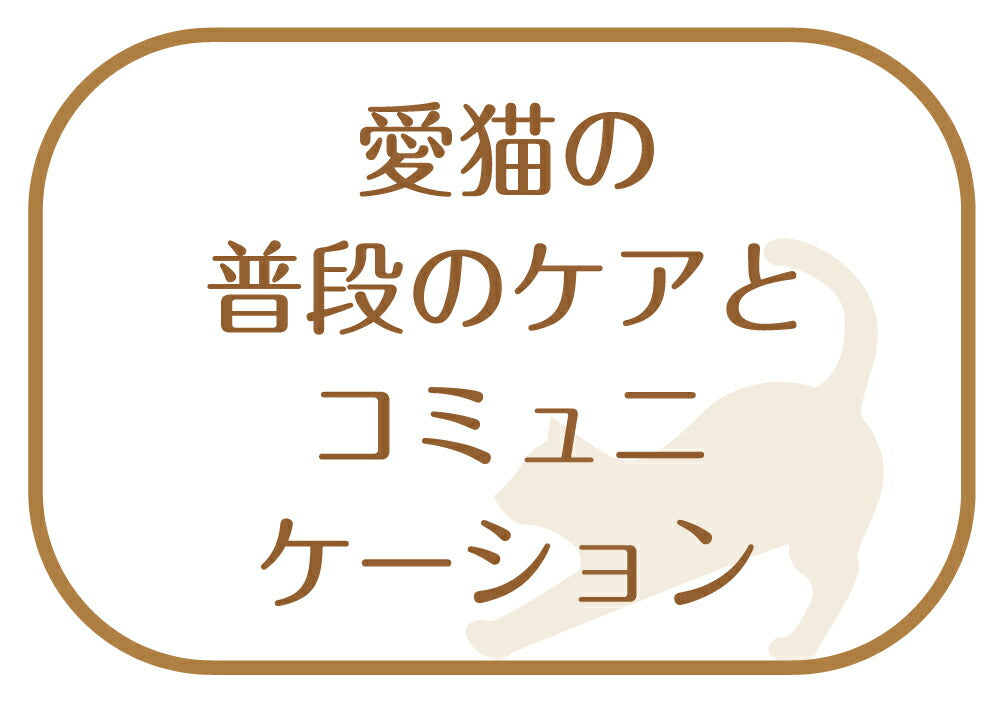 ペットプロジャパン 和歌山海南 猫が喜ぶマッサージ&毛取りブラシ ネジリ ペット用品